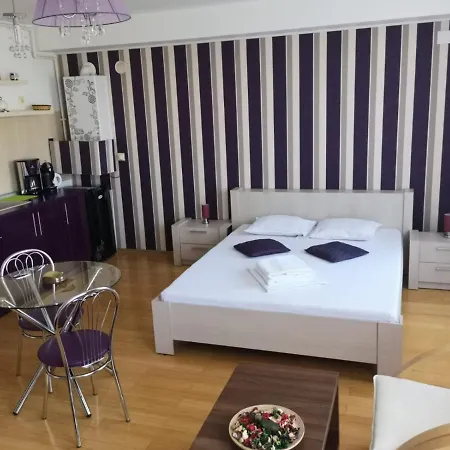 Purple Studio