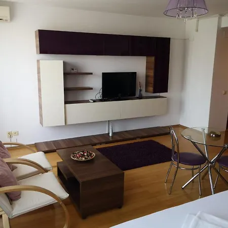 Purple Studio *
