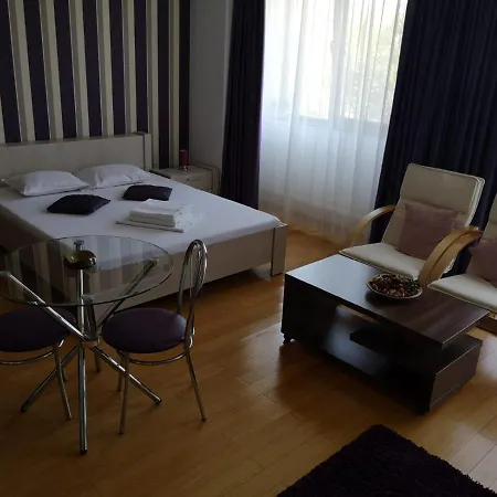 Purple Studio *
